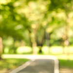 Quando il verde non basta: perch� a volte evitiamo i parchi urbani?